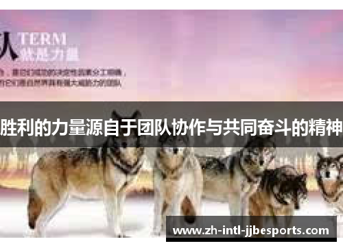 胜利的力量源自于团队协作与共同奋斗的精神