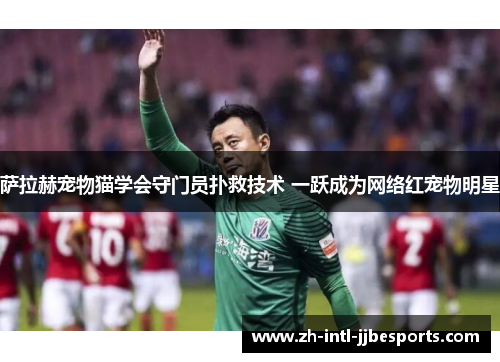 萨拉赫宠物猫学会守门员扑救技术 一跃成为网络红宠物明星